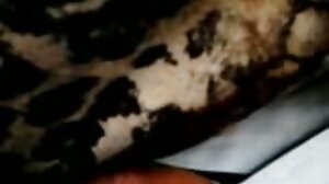 بڑا گدا