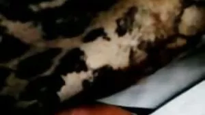 کشور گدا کے ساتھ SE SE