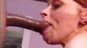Busty SE SE