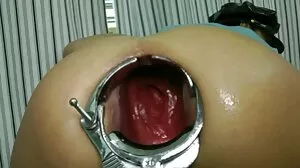 ہارن ایس سائی Bil ظاہر کرتا ہے بلی اناٹومی اور ڈک لیتا ہے-Lifeselector