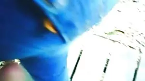 سیڈی لیا Seans مشکل مرگا پر اس کے چھوٹے بلی کے