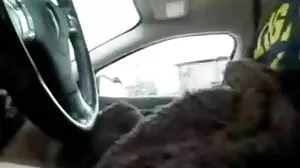 اصلی شوکیا لیٹنا بیکار